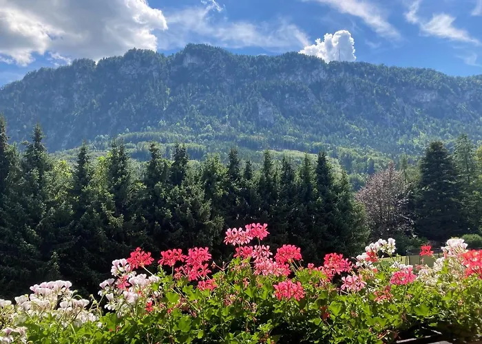 Ferienwohnung Mit Seeblick, Unterach Am Attersse