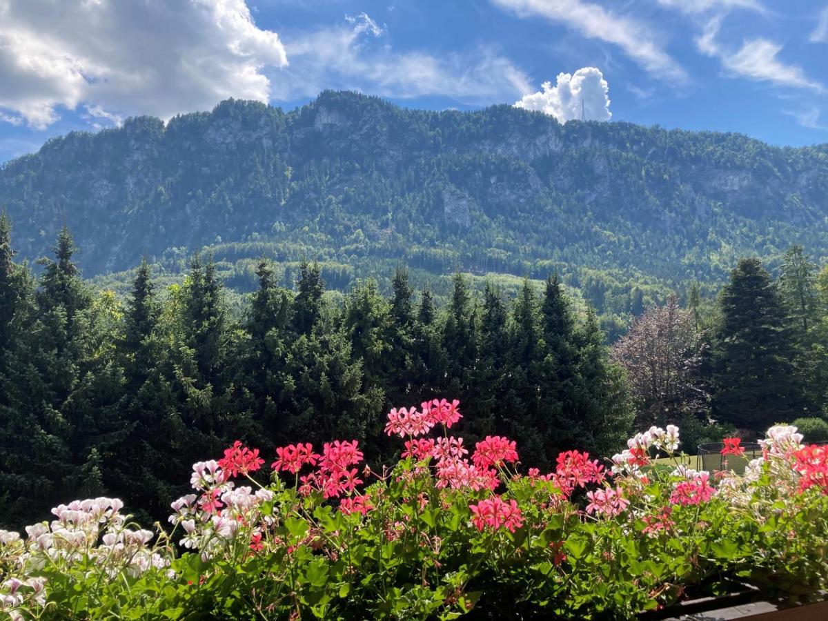 Mit Seeblick, Unterach Am Attersse *